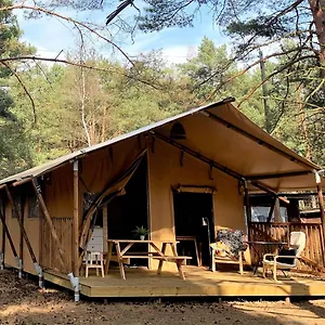  Campsite Camp Bursztynowy Poland